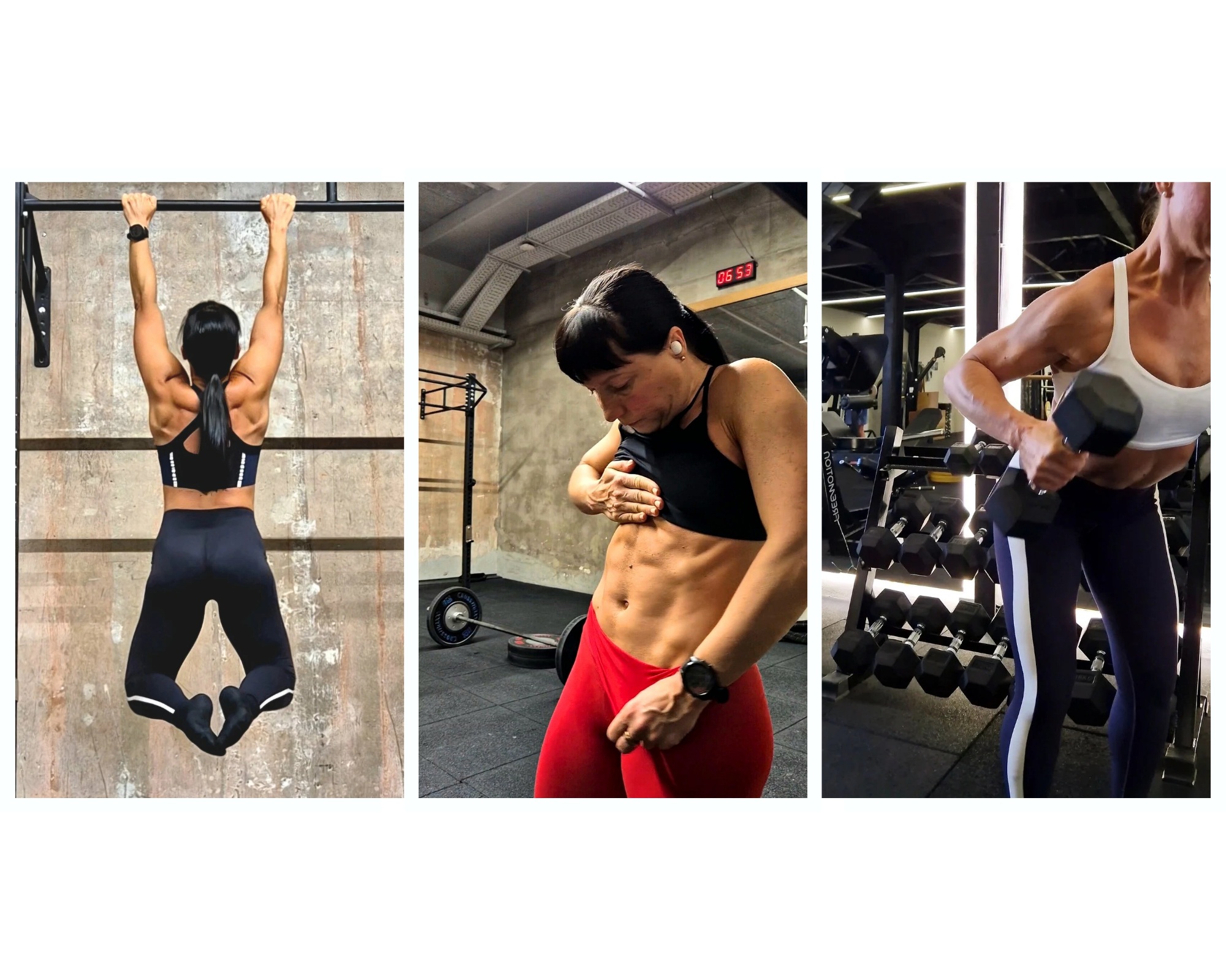 muscles as blog 2